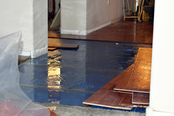 Professional Basement Water Removal technician working in Westfield, IN